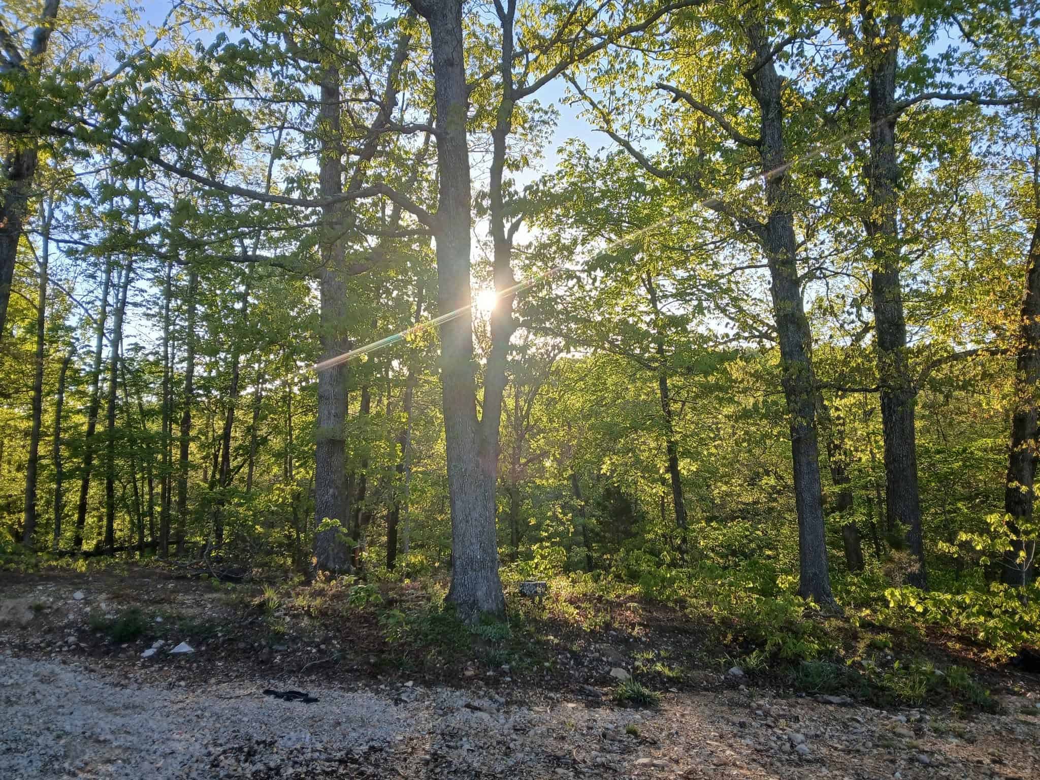 Sunrise over the wooded homestead at Pappy's Place in the Missouri Ozarks